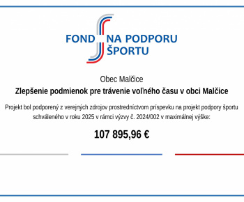 Fond na podporu športu