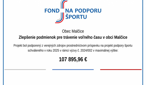 Fond na podporu športu 