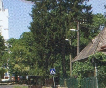 Fotogaléria